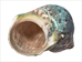 Raw Camouflage Turbo Sarmaticus Shell: Large - 672-R-L (Y2L)