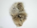 Coyote Fur Collar: 3" by 35" - 781-3x35 (Y2O)