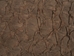Suede Carp Leather: Medium Chocolate - 870-4S-02A (Y2F)