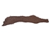 Suede Carp Leather: Medium Brown - 870-4S-02B (Y2F)