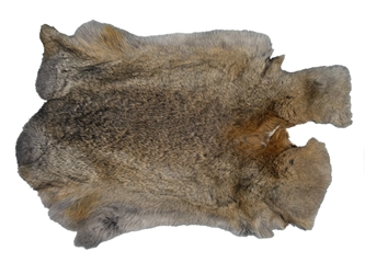 Chichesters Best Collection: Bunny Gray Czech Rabbit Skin: Gallery Item 