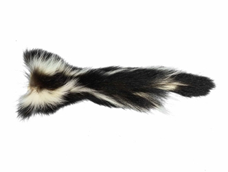 Real Tanned Skunk Tail: XL: Gallery Item 