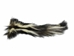 Real Tanned Skunk Tail: XXL: Gallery Item - 18-SK-G4280 (Y1J)