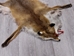 Red Fox Skin with Feet: Gallery Item - 180-03-WF-G4018 (Y3L)