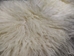 Greenlandic Sheepskin: Natural White: Gallery Item - 1371-10-G4924 (Y1K)