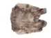 Natural Rex Rabbit Skin: Gallery Item - 142-F-G6221 (Y3K)