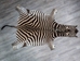 Zebra Skin: Grade 1: Gallery Item - 168-1-G6305 (Y2D)