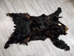 Black Bear Skin with Claws: Gallery Item - 175-30-G6271 (Y2O)