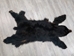 Black Bear Skin with Claws: Gallery Item - 175-30-G6274 (Y2O)