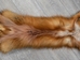 Taxidermy Quality Red Fox Skin: Gallery Item - 180-03-TAX-G6190 (Y1K)