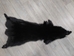 Black Dyed Fox Skin: Fashion Quality: Gallery Item - 180-06-FQAA-G01 (Y2F)