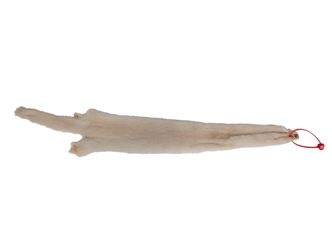 Female Ranch Mink Skin: Pearl: Gallery Item 