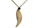 Realistic Iroquois Bear Tooth Necklace: 1-tooth: Gallery Item - 368-201-G6146 (Y2H)
