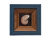 Framed Nautilus Shell: Gallery Item - 649-G6170 (Y2N)